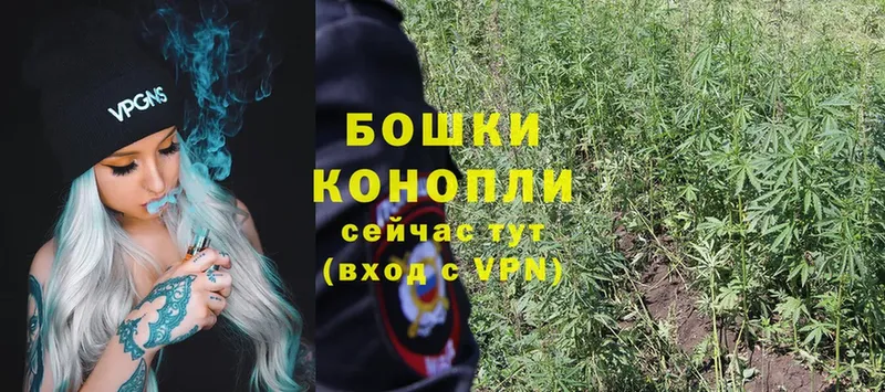 Каннабис SATIVA & INDICA  Западная Двина 